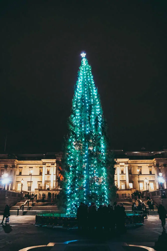 Christmas Tree Trafalgar Square