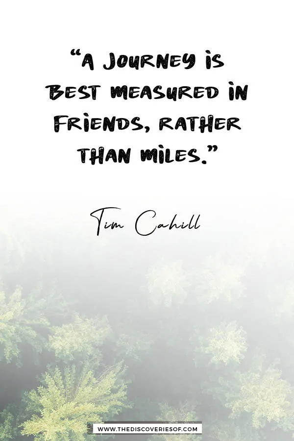 A journey is best measured in friends - Tim Cahill