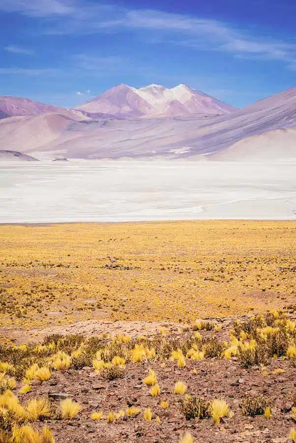 Laguna Chaxa