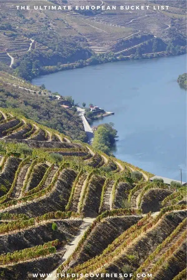 Wine Tasting in the Douro Valley