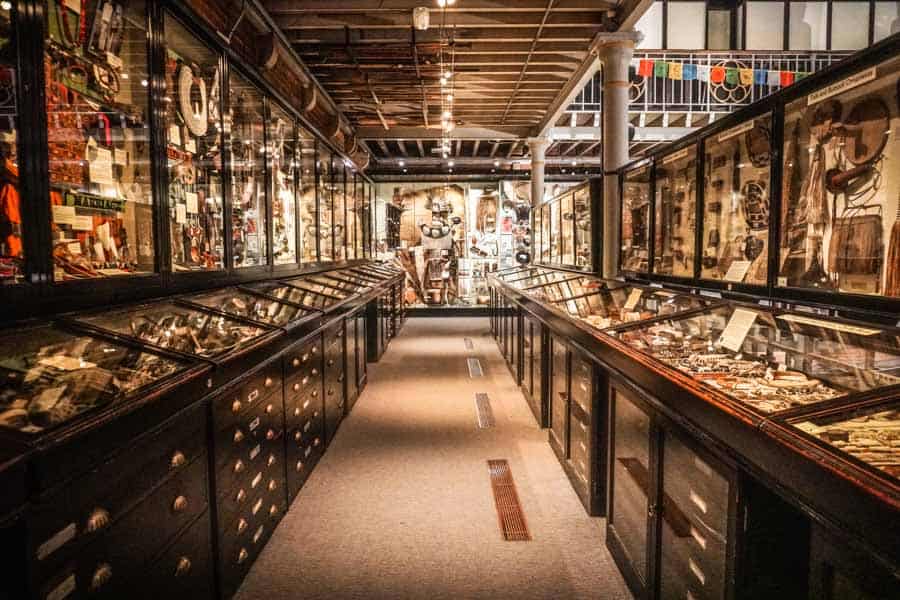 Pitt Rivers Museum