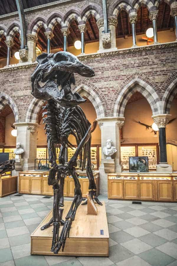 Oxford Museum of Natural History