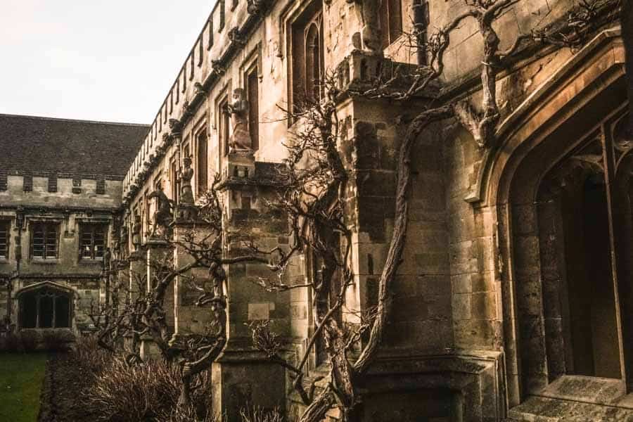 Magdalen College Cloisters