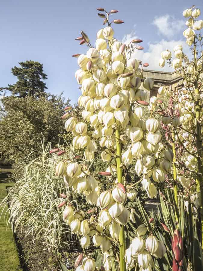 Oxford Botanic Gardens