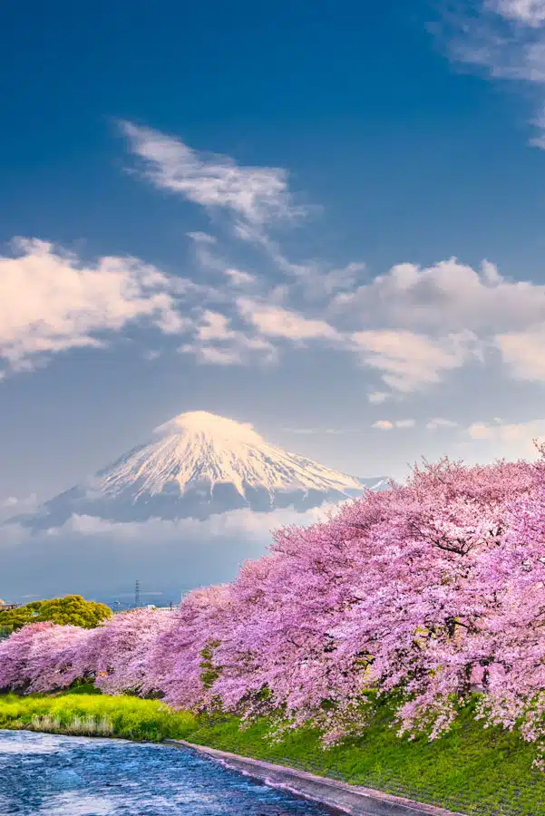 Mount Fuji