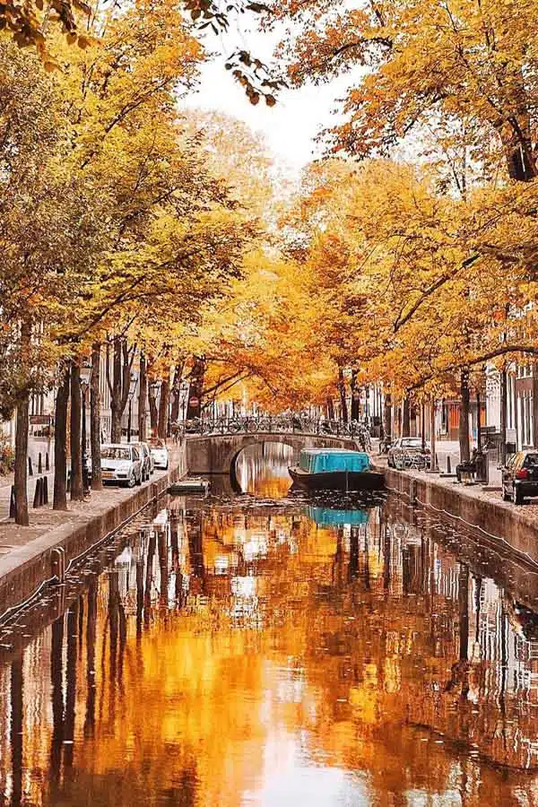 The Netherlands