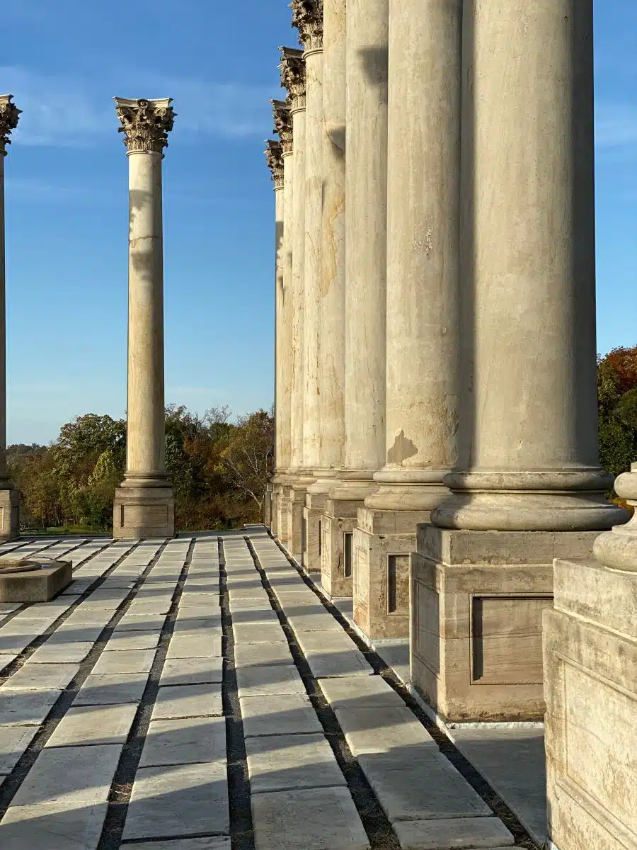 National Arboretum Washington DC