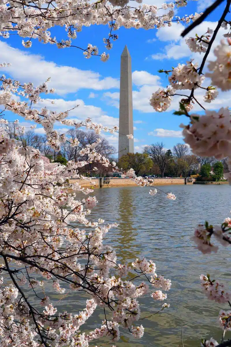 The Tidal Basin