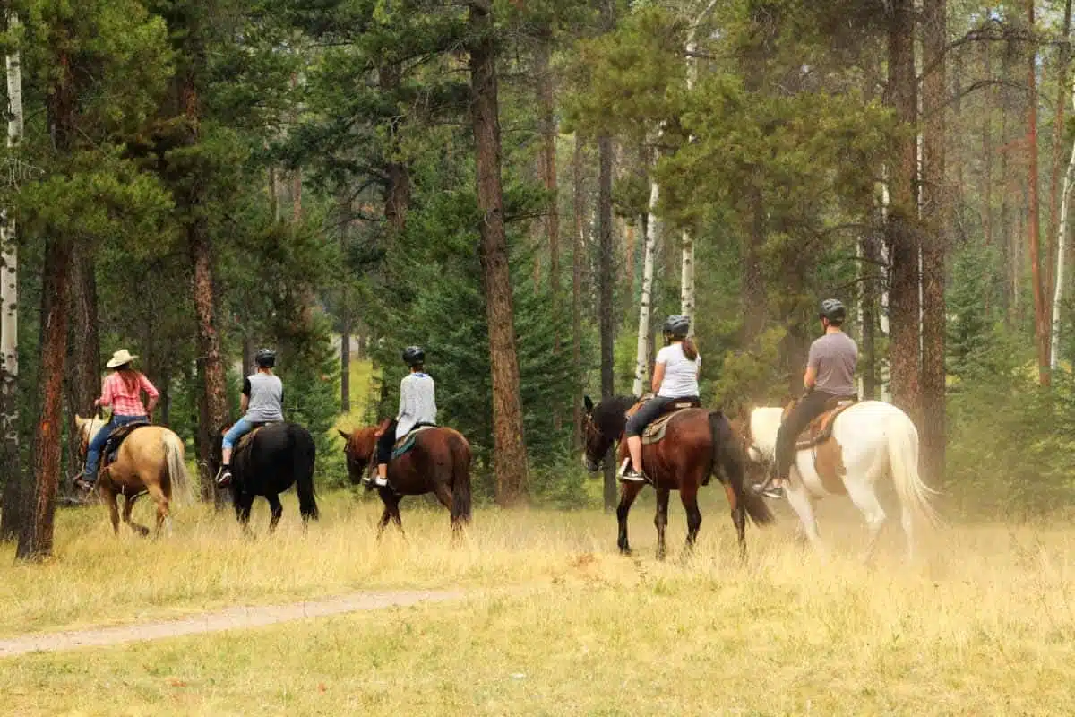 Horse Riding Jasper