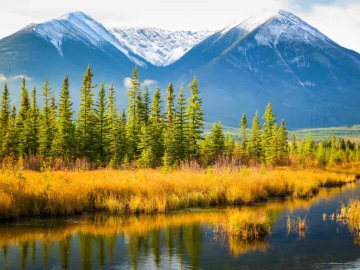 17 Incredible Things to Do in Jasper National Park