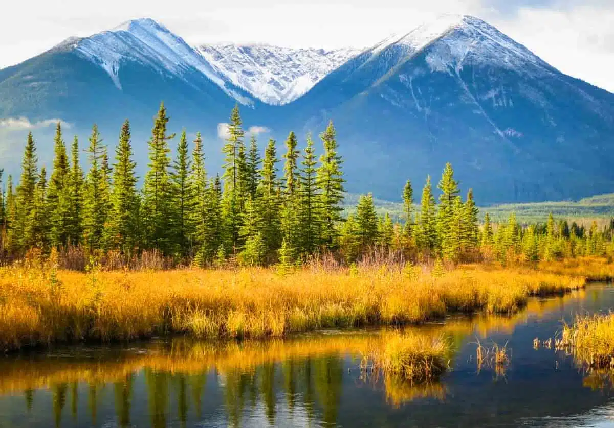 Jasper National Park