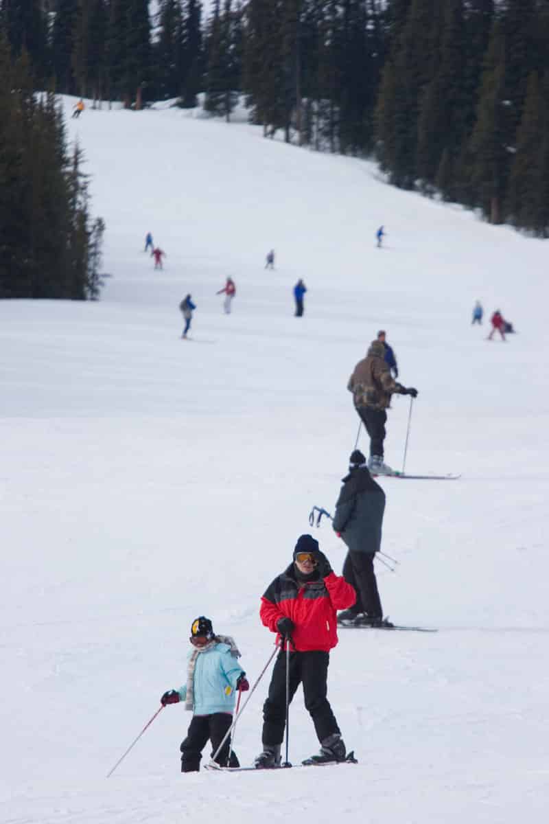 Marmot Basin Skiing Jasper