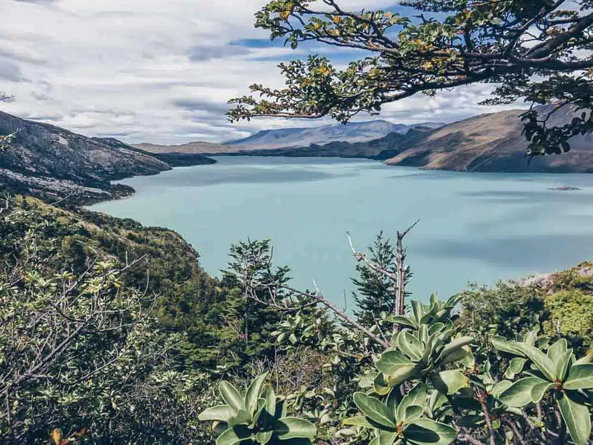 Torres del Paine Trek 