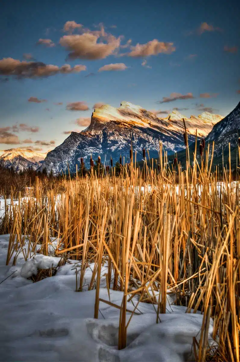 Rockies in Winter