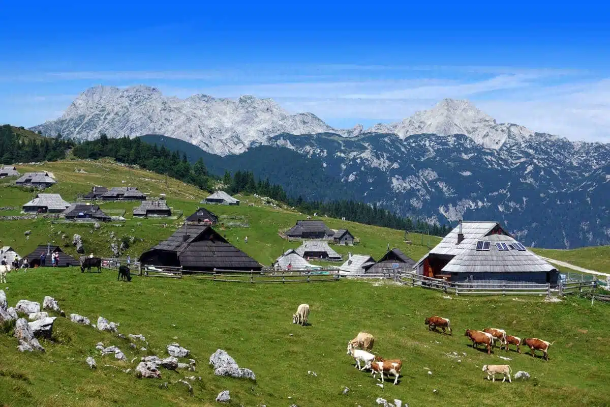 Velika Planina