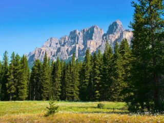 canada-jasper-cc-5.jpg