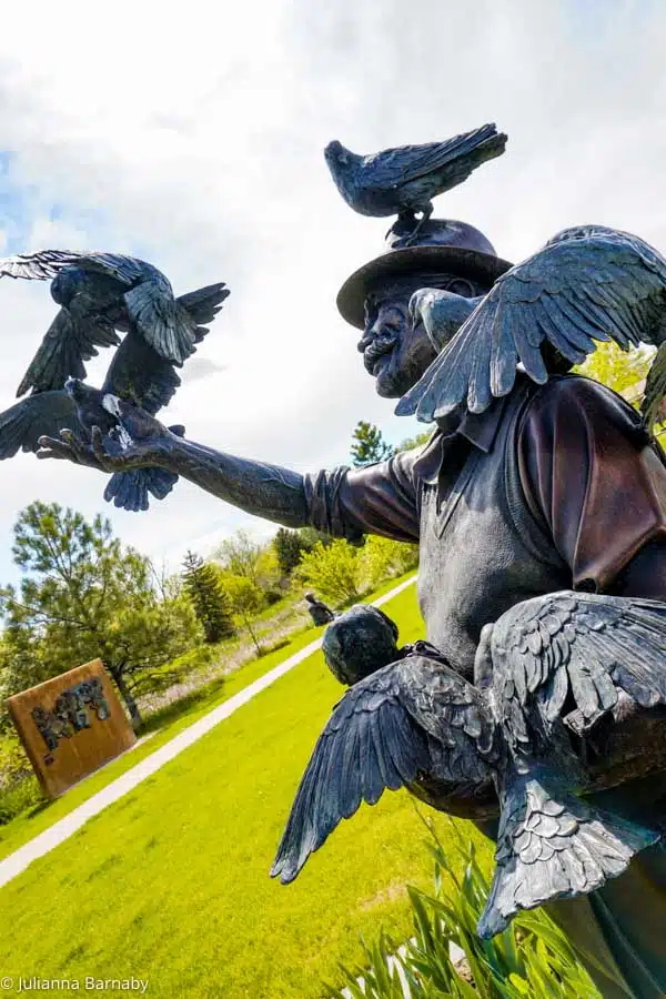 Man with pigeons Benson Sculpture Garden