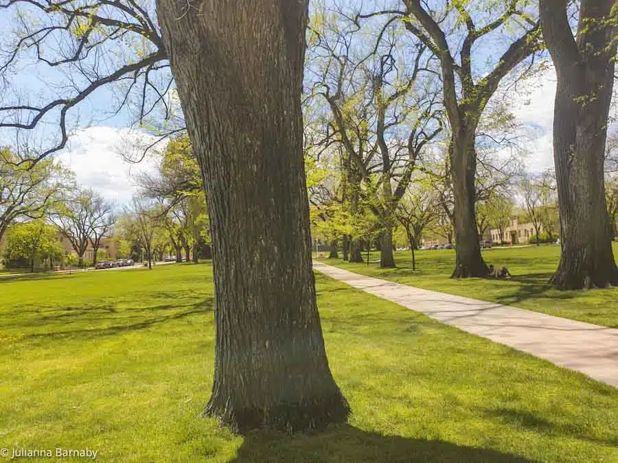 Parklife in Fort Collins