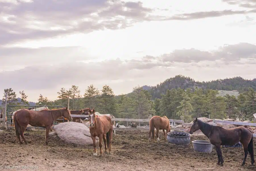 Sundance Trail Guest Ranch