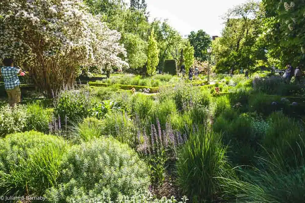 Madrid Botanical Garden