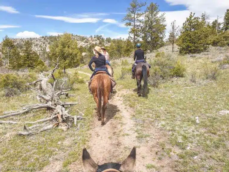 Ditch the Beach… Here’s Why You Need to Visit a Colorado Dude Ranch Instead