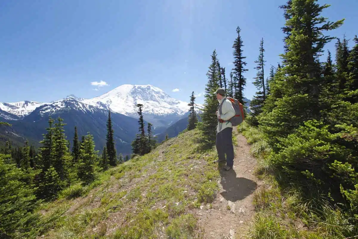 Mount Ranier Hike Seattle