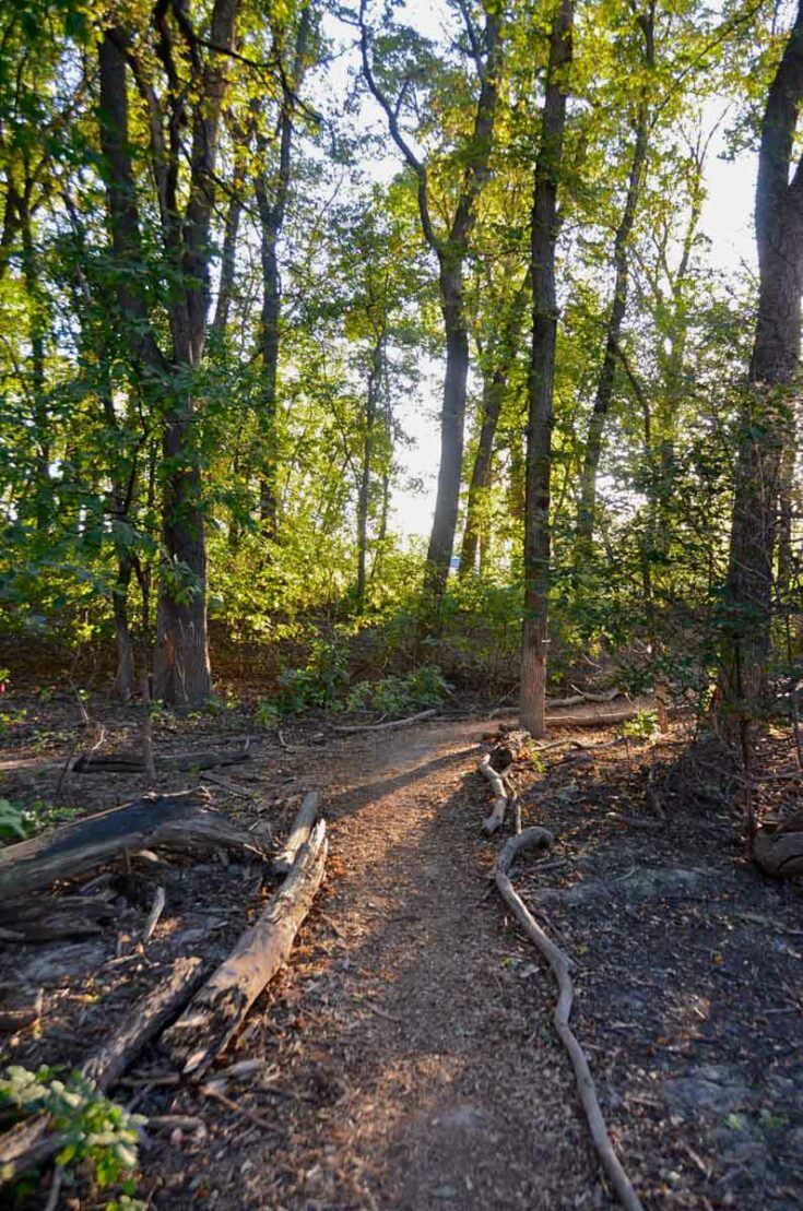 Brilliant Outdoor Activities in Winnipeg For Your Trip — The Discoveries Of