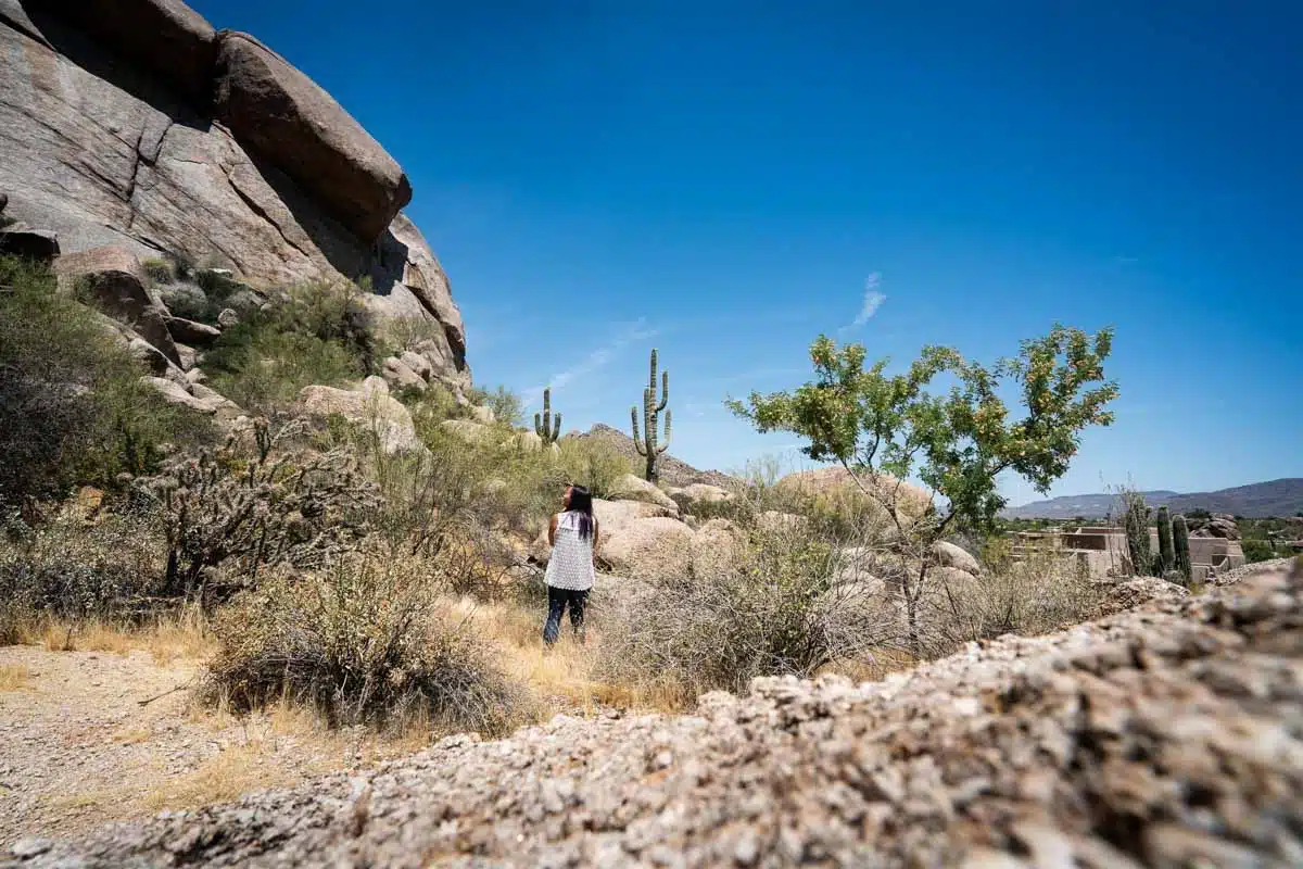 Sonoran Desert Scottsdale