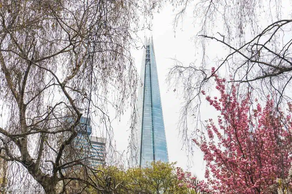 View of the shard from Bermondsey Street