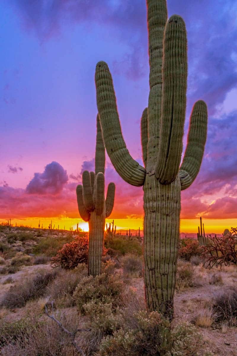 Mcdowell Sonoran Preserve