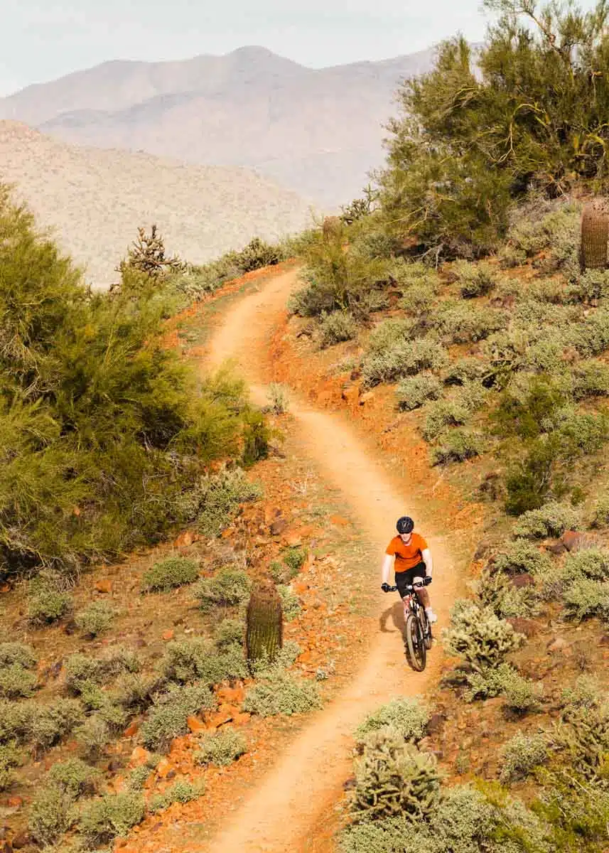 Mountain Biking Scottsdale