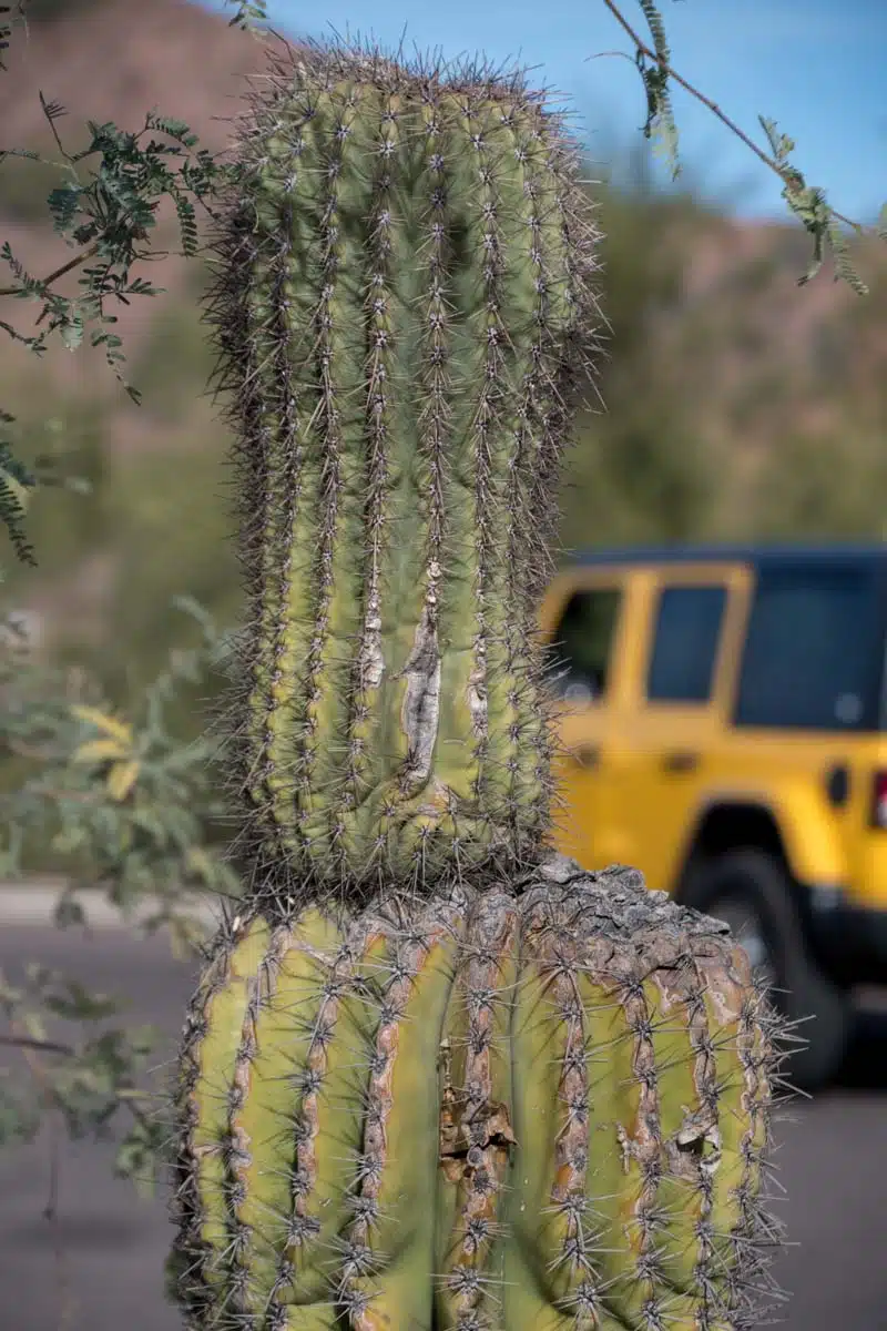 Scottsdale Jeep