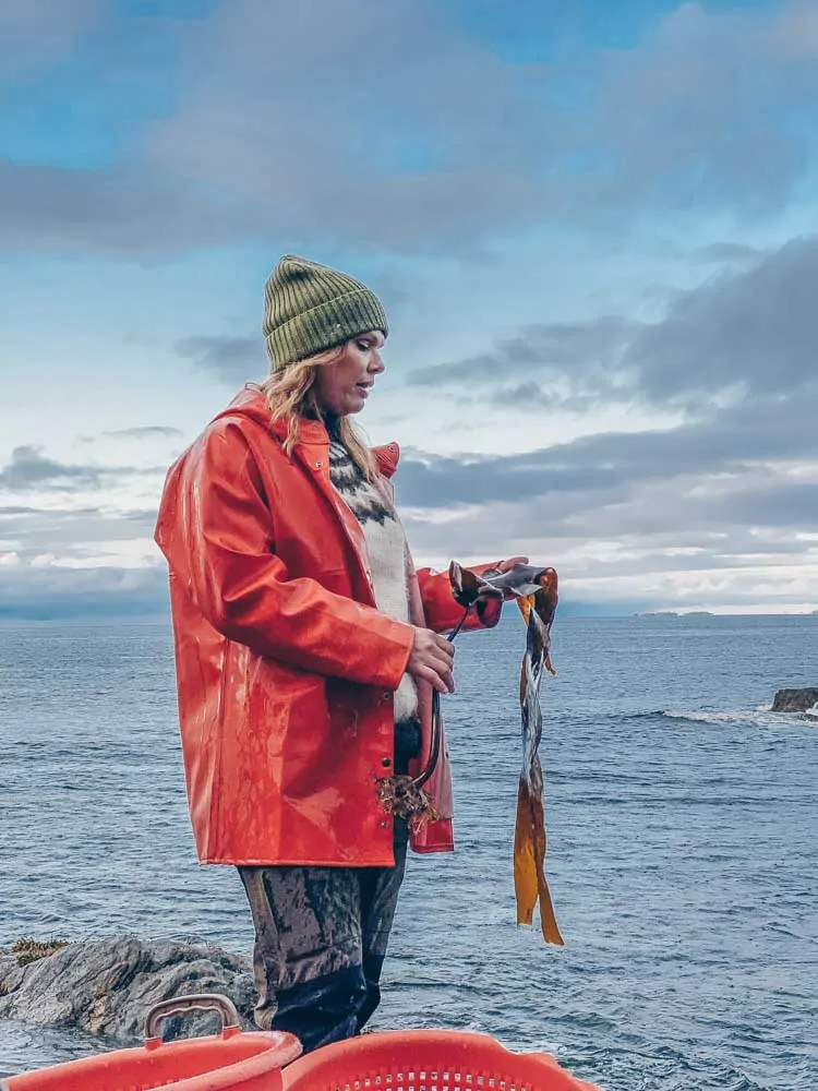 Angelita harvesting seaweed