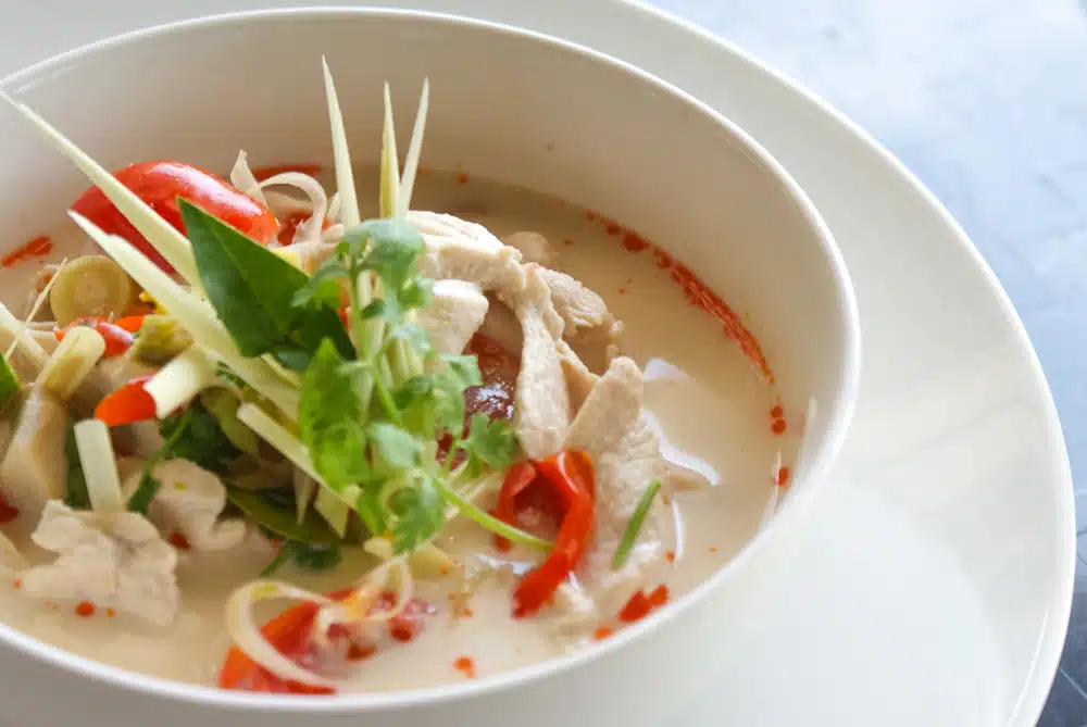 Thai Chicken and Coconut Soup