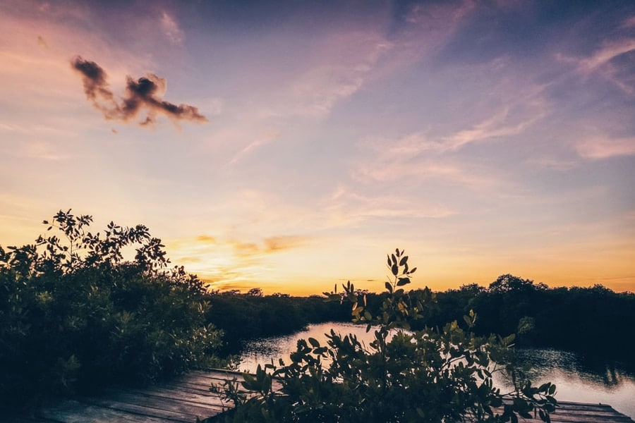 Sunset at the Nativus Cenote