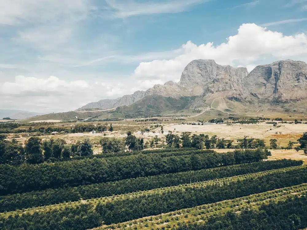 Stellenbosch Winelands