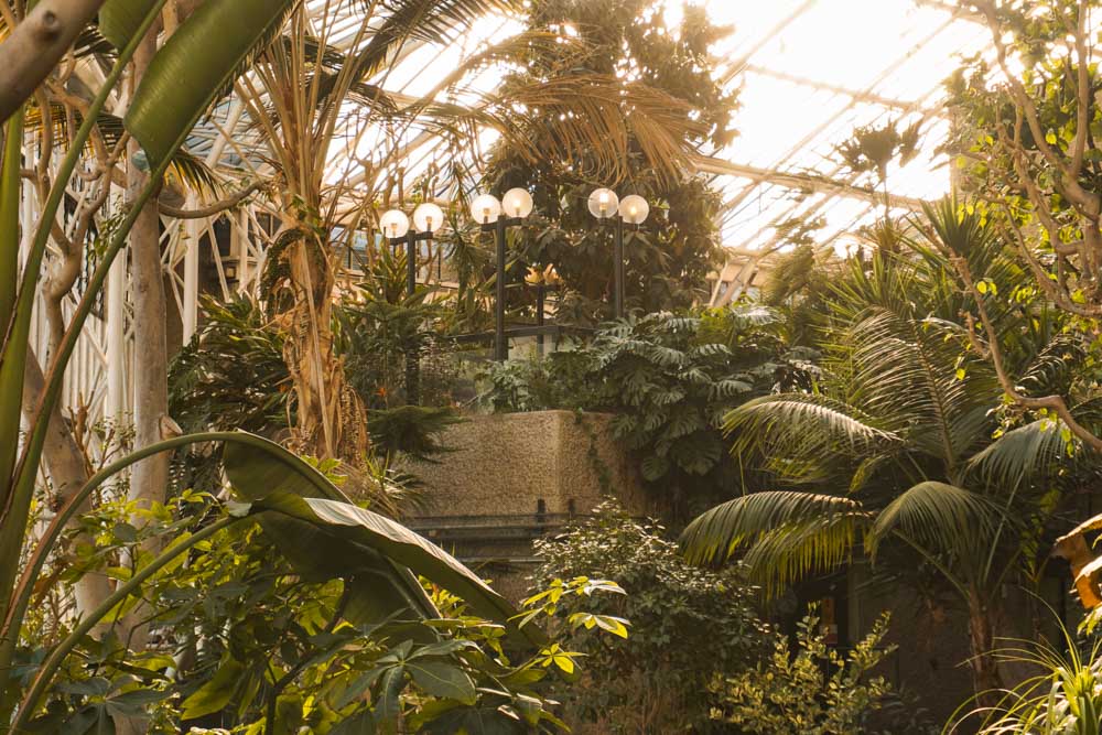 Barbican Conservatory