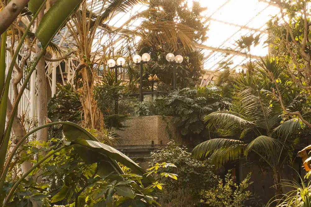 Barbican Conservatory