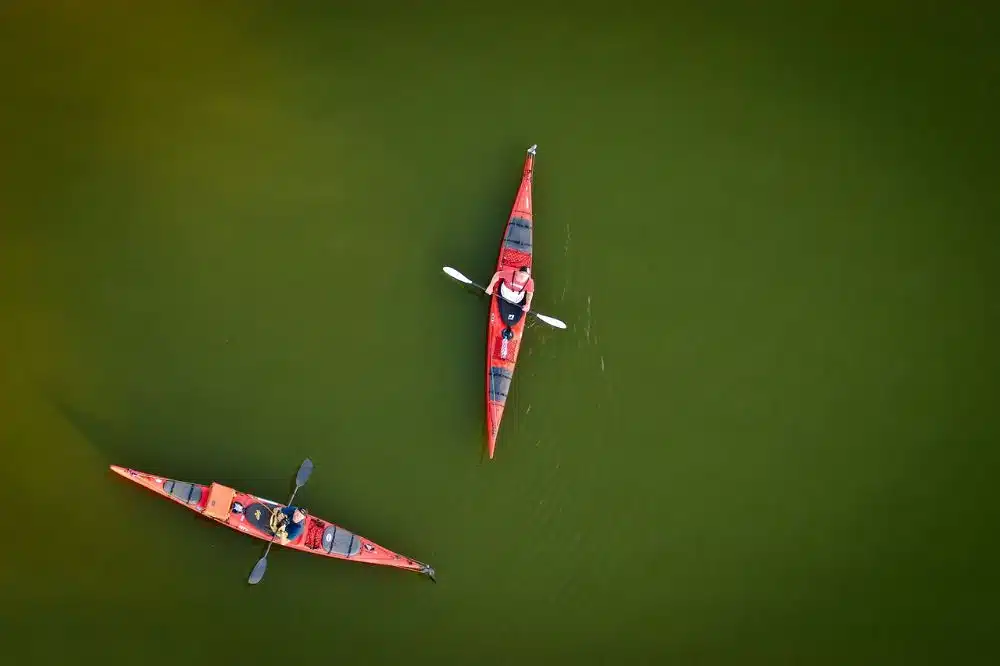 Kayaking Garden Route