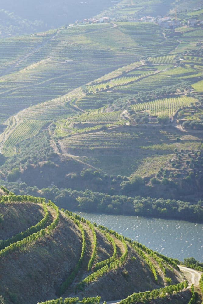 Douro Valley