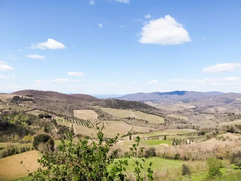 Rolling vineyards of tuscany