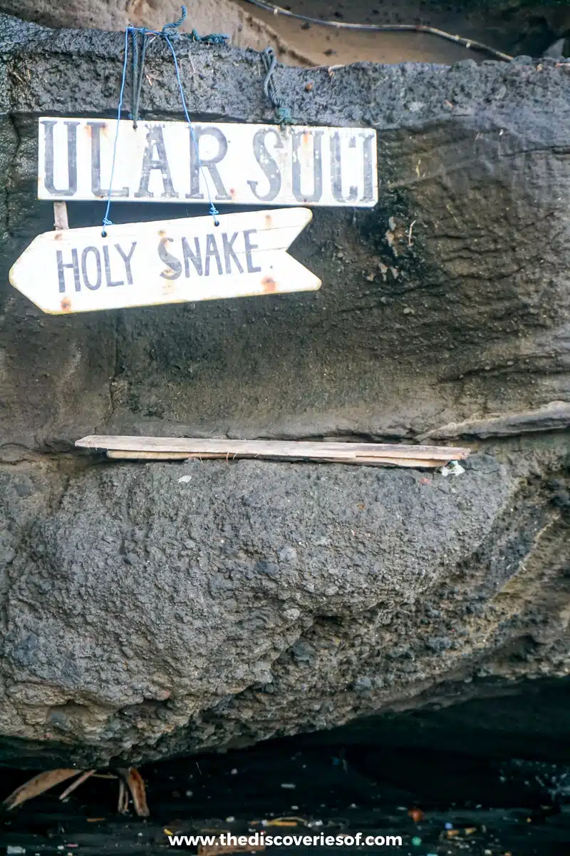 Holy Snake 