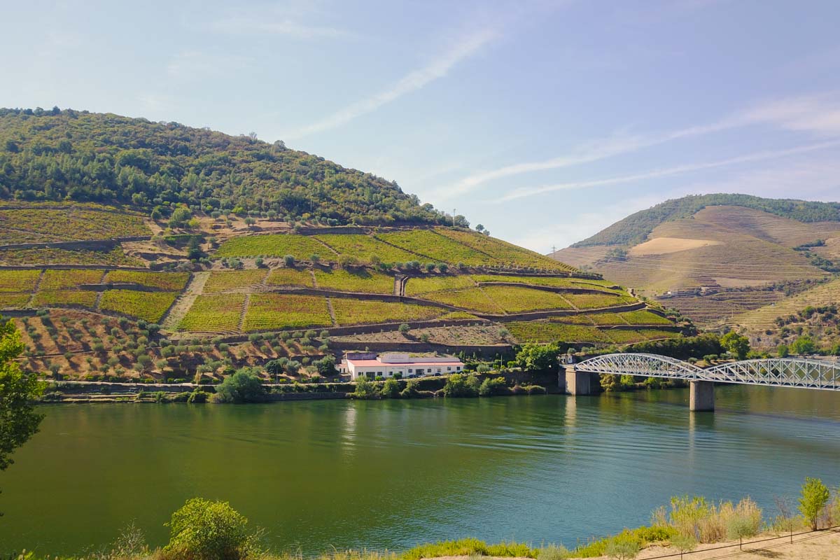 Douro Valley 