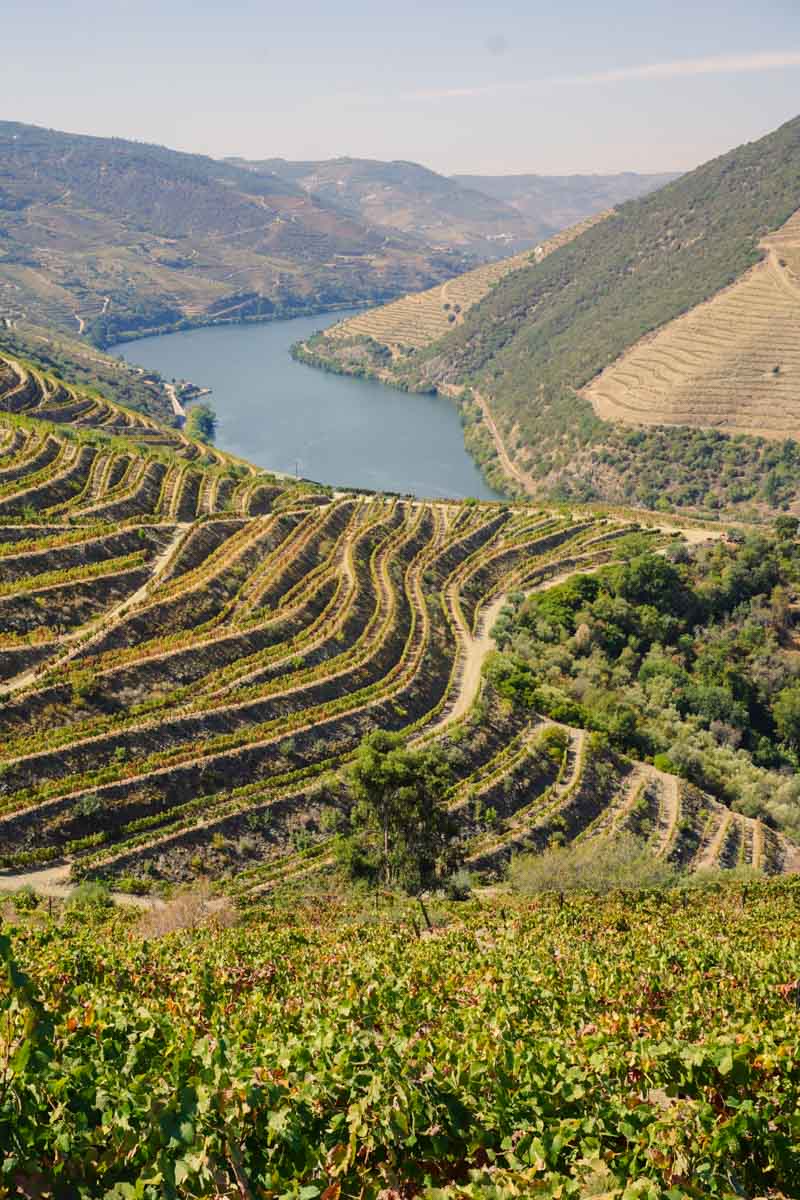 Douro Valley