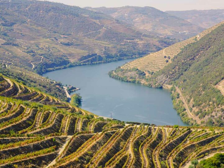 Douro Valley, Portugal Travel Guide: Discover Portugal’s Best-Known Wine Region