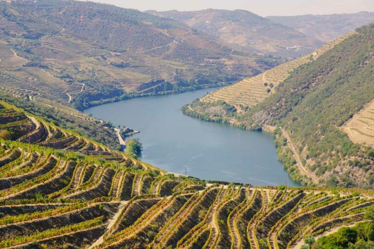 Douro Valley, Portugal Travel Guide: Discover Portugal’s Best-Known Wine Region