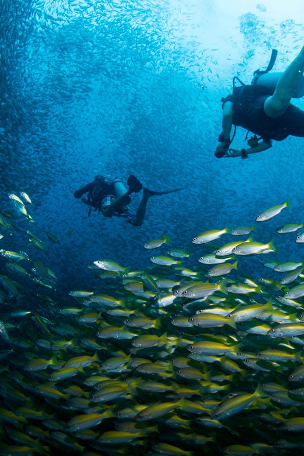 tour bali 2 settimane Thailand - Diving Ko Tao