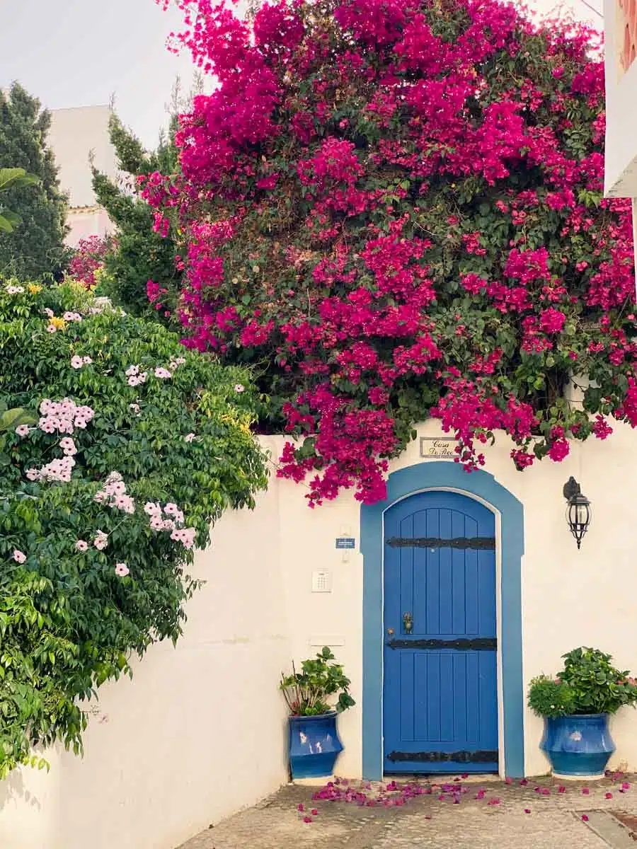 Magenta bougainvillea spilling over a whitewashed wall around an arched blue door with blue planters on the Algarve coast