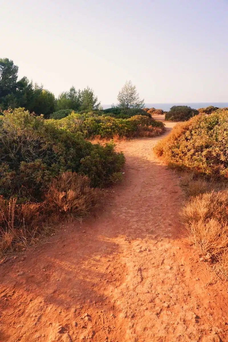 A red earth trail winding through green scrub and bushes under a pale sky in the Algarve