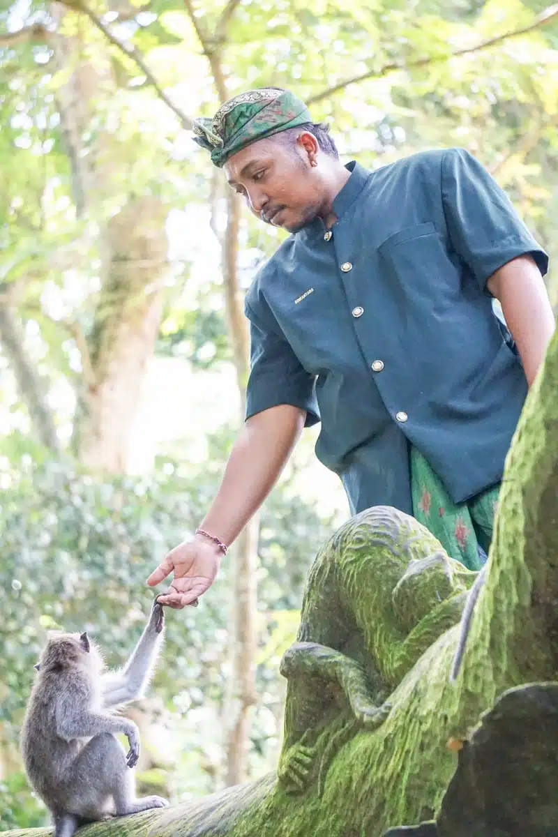 Ubud Monkey Santuary 